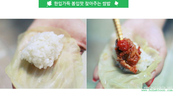 잃어버린 입맛을 되찾고싶다면 쌈밥을 준비하세요