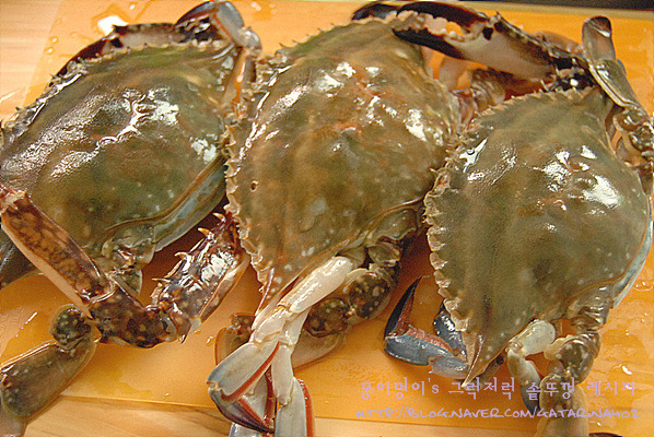 제철에 안먹으면 서운해요~/꽃게 된장찌개~